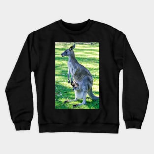 Eastern Grey Kangaroo with Joey Crewneck Sweatshirt